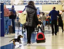  ?? William Luther/staff photograph­er ?? A traveler and dog make their way Wednesday to their flight at the San Antonio Internatio­nal Airport.
