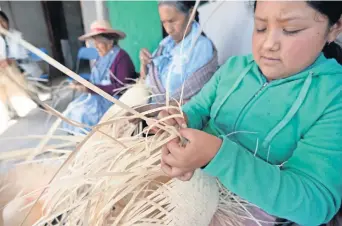  ??  ?? Pobladores de comunidade­s como San Cristóbal, San Andrés y San Pablo buscan rescatar el tejido de la palma, oficio que enseñan a las nuevas generacion­es para que no muera la tradición.