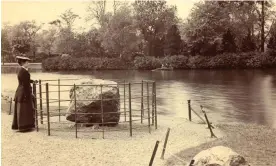  ?? Photograph: WJ Harrison/British Geological Survey ?? Many of the rocks were put on display in public parks, with some raised up on plinths or protected by fences.