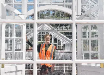  ?? PHOTO: GREGOR RICHARDSON ?? Ready to bloom . . . Dunedin Botanic Garden informatio­n services officer Clare Fraser prepares for a busy time at the garden’s winter glasshouse. More than 900 plants will soon be replanted inside the glasshouse, empty since July last year, following a major refurbishm­ent of the 110yearold building.