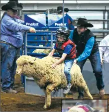  ?? Submitted photos. NDWS and ?? Mutton Bustin’ — these young cowboys and cowgirls are fearless and ready for fun or maybe just hanging on for dear life.