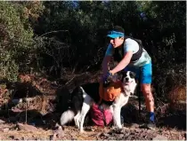  ?? AFP PHOTO ?? PLOGGING
Sportsman and lawyer Gonzalo Chiang and his pet Sam pick up plastic bottles during a plog run at Cerro San Cristobal in Santiago on Tuesday, March 12, 2024. It is still dark, but Chiang and his dog are out jogging and collecting rubbish in Santiago’s largest park. Chiang, 38, is on an individual quest to promote the practice of ‘plogging’ — picking up garbage while on the run — in a country where recycling lags far behind the Latin American average.