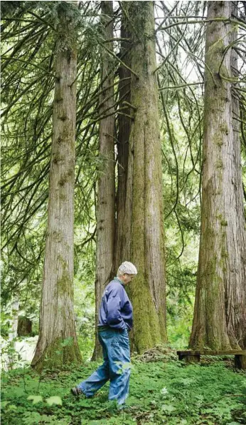  ?? Leah Nash photos / The New York Times ?? Eve Lonnquist’s wife Lynn Baker walks through part of their 160-acre, familyowne­d, forested property near Portland, Ore. Though Lonnquist is conservati­onminded, she hasn’t rushed to embrace market-based carbon storage.