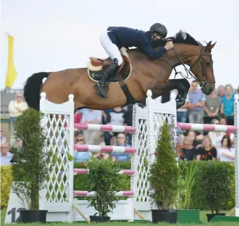  ??  ?? ‘he absolutely loves his food’: Nigel Coupe has to keep an eye on golvers hill’s calorie intake