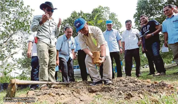  ??  ?? ZAINAL menanam pokok durian Musang King di ladang Rosyam.