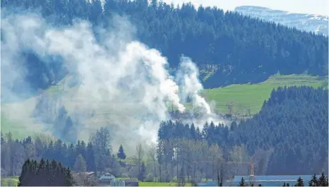  ?? FOTO: MATTHIAS BECKER ?? Forstfeuer – hier ein Archivfoto – sind nicht nur lästig, sondern sind auch Luftschads­toff-Quellen.