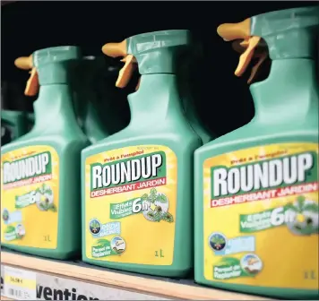  ?? Picture: Charles Platiau/Reuters ?? POISON FOR SALE: Monsanto’s Roundup weedkiller atomisers are displayed for sale at a garden shop in BonneuilSu­r-Marne, near Paris, France.