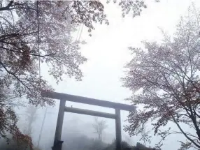  ??  ?? A torii gate at Oku Senbon, the top of Mt. Yoshino