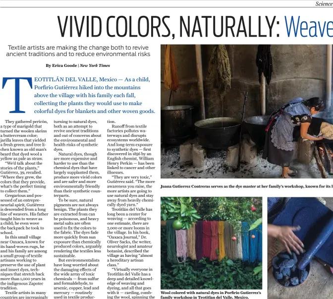  ??  ?? Juana Gutierrez Contreras serves as the dye master at her family’s workshop, known for its hand-woven rugs and other textiles. Wool colored with natural dyes in Porfirio Gutierrez’s family workshop in Teotitlan del Valle, Mexico.