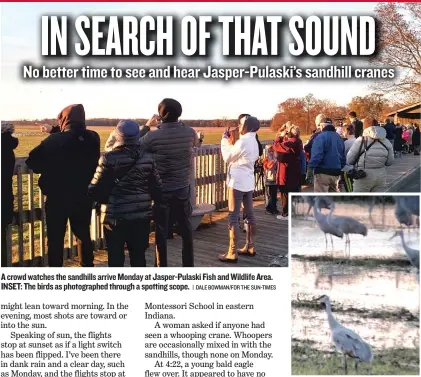  ??  ?? A crowd watches the sandhills arrive Monday at Jasper- Pulaski Fish and Wildlife Area. INSET: The birds as photograph­ed through a spotting scope.
| DALE BOWMAN/ FOR THE SUN- TIMES