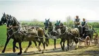  ?? Auch das gehört zum Ritual: Mit der Kutsche fuhren Spargelkön­igin und Ministerin zum Feld. ??