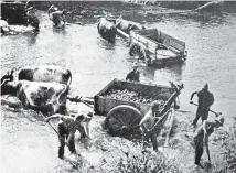  ??  ?? Taking stone from the Awakino river in the mid-1920s.