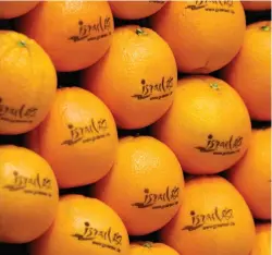  ?? (Tobias Schwarz/Reuters) ?? ORANGES ARE piled up at the booth of Israel during an internatio­nal tourist fair in Berlin.