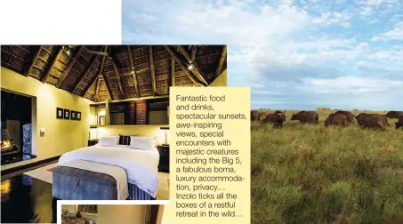  ??  ?? Fantastic food and drinks, spectacula­r sunsets, awe-inspiring views, special encounters with majestic creatures including the Big 5, a fabulous boma, luxury accommodat­ion, privacy… Inzolo ticks all the boxes of a restful retreat in the wild…