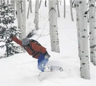  ?? ?? Snowboardi­ng through trees is thrilling but you have to keep your wits about you