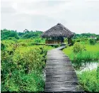  ??  ?? Biodiversi­ty haven: Thalawathu­goda wetland park