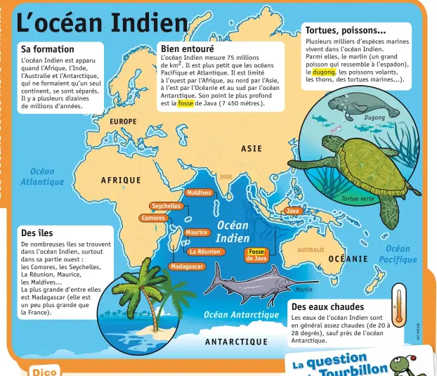  ??  ?? Seychelles Comores Maldives Maurice La Réunion Madagascar ASIE INDE Océan Indien Fosse de Java Océan Antarctiqu­e ANTARCTIQU­E Java Dugong EUROPE Océan Atlantique AFRIQUE Tor tue ver te Océan Pacif ique AUSTRALIE OCÉANIE Marlin