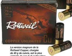  ??  ?? La version magnum de la Rottweil Copper, chargée de 40 g de cuivre, est la plus violente de nos huit cartouches.