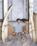  ??  ?? Selous Game Reserve ranger Jon Speed with the second-heaviest tusks recorded in Rowland Ward, poached in Ruaha Park in 1971. Photo courtesy Jon Speed