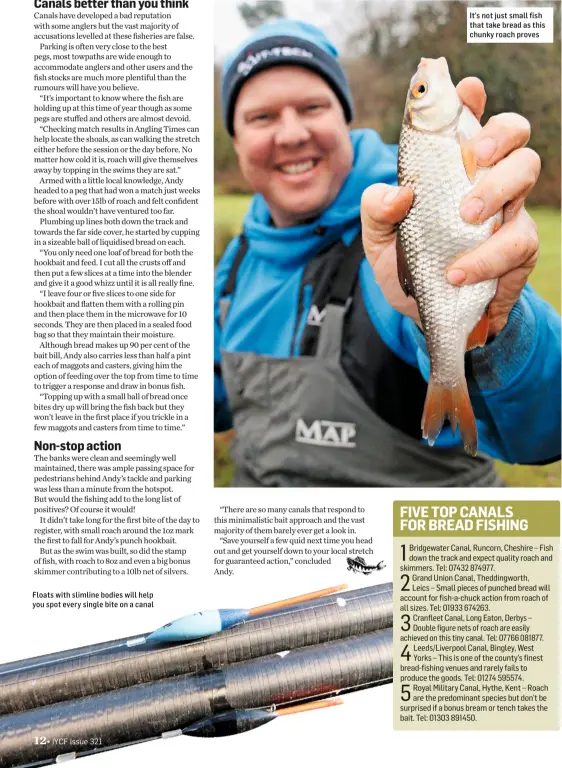  ??  ?? Floats with slimline bodies will help you spot every single bite on a canal It’s not just small fish that take bread as this chunky roach proves