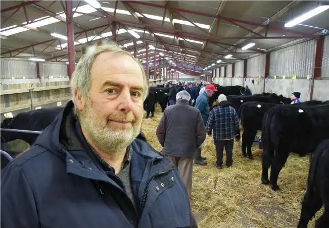  ??  ?? Tradition: Padraig O’Connor, who is serving his first year as President of the Irish Angus Cattle Society, comes from a family that has been breeding Angus cattle for over a century on the family farm near Elphin, Co Roscommon