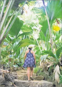  ?? STEVE MACNAULL PHOTO ?? Vallee de Mai, the so-called Garden of Eden, is the primeval forest of supersized palm trees on Praslin island.