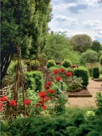  ??  ?? CLOCKWISE FROM LEFT
A bust of botanist Sir Joseph Banks among grey-leafed plants that are usually associated with hot, dry climates but thrive in the Chelsea Physic Garden’s unique microclima­te on the River Thames; willow tuteurs and woven wicker fences are crafted from garden trimmings by staff and volunteers; tender seedlings are often nurtured in cold frames before being planted out into garden beds.