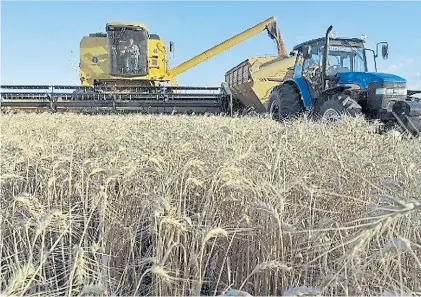  ??  ?? Fertilizac­ión. Cosecha de trigo en Necochea. Los productos basados en la biología son la nueva tendencia.