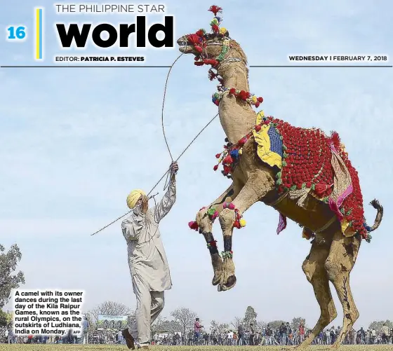  ??  ?? A camel with its owner dances during the last day of the Kila Raipur Games, known as the rural Olympics, on the outskirts of Ludhiana, India on Monday.