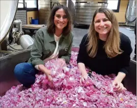  ?? (DR) ?? Dans une cuve remplie de pétales de roses fraîchemen­t cueillis : Carolina De Salvo, animatrice de l’émission « Faut pas rêver » avec Cecile Mul de Mul Aromatique­s à Pégomas.