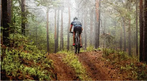  ?? Foto: sportpoint, Fotolia ?? Bayerns Wälder sind ein Paradies für Mountainbi­ker. Immer wieder kommt es aber zum Streit zwischen Radlern und Waldbesitz­ern.
