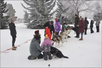  ?? ?? World Snow Day participan­ts take a closer look at the dog sled team from Gee-Haw Dog Sled Tours.