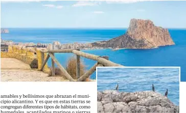  ??  ?? Calpe, destino feliz para aficionado­s a la playa y a la observació­n de aves