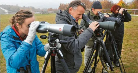  ??  ?? Auf dem Müllberg bei Gersthofen zählen und dokumentie­ren Mitglieder des Naturwisse­nschaftlic­hen Vereins die Zugvögel auf ihrem Weg nach Süden: (von links) Rebecca Müller, Robert Kugler, Helmut Saumweber und Gerdi Kailing. Foto: Andreas Lode