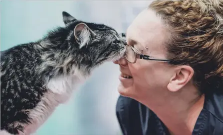  ?? MONTREAL SPCA THE CANADIAN PRESS ?? A cat named Baloo nuzzles with a vet technician in a handout photo from the Montreal SPCA. A Purolator employee found the cat in Montreal, and the local SPCA co-ordinated a return trip for the furry stowaway after they got in touch with his Halifax-based owner on Monday.