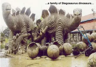  ??  ?? …a family of Stegosauru­s dinosaurs…