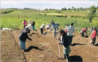  ?? CORTESÍA ?? Cultivo. El financiami­ento que llegará es para Guayas, Los Ríos, Morona Santiago, Zamora Chinchipe y Azuay.