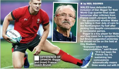  ??  ?? ■
DIFFERENCE OF OPINION: Biggar and France coach Brunel