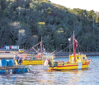  ?? Fotos : fernanda rivera Luque ?? El puerto es el corazón del pueblo