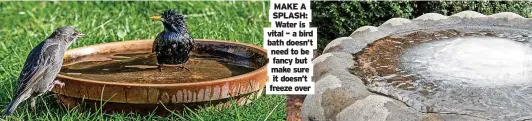  ?? ?? MAKE A SPLASH: Water is vital – a bird bath doesn’t need to be fancy but make sure it doesn’t freeze over