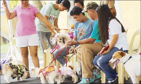  ?? CESAR RAMIREZ ?? Pet owners bring their dogs at the provincial capitol compound in Lingayen, Pangasinan yesterday to attend an event to mark World Rabies Day.