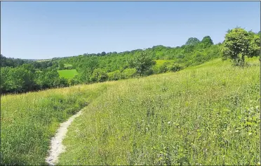  ?? Picture dated 2012 by Ann Southern ?? The Coney Banks is now officially a village green meaning no part of the land can be developed