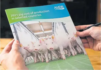  ?? ?? BAD READ: A report by AHDB on pig production costs shows a massive 20% GB rise.