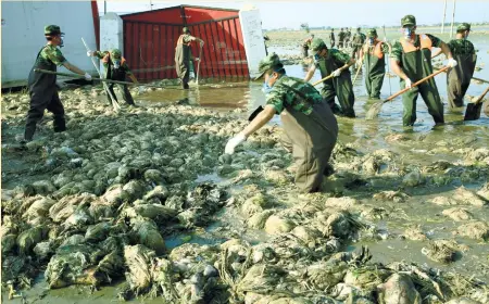  ?? (AP FOTO) ?? FLOODED. Chinese paramilita­ry policemen take away dead chickens as a flood hit Xishuangta village in Jize county in north China’s Hebei province. Dozens of people have been killed and dozens more are missing across China after a round of torrential...