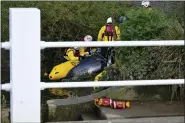  ?? ALBERTO PEZZALI — THE ASSOCIATED PRESS ?? Lifeboat workers attempt to assist a stranded young Minke whale on the River Thames near Teddington Lock May 10 in London.