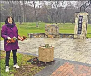  ?? Contribute­d photo ?? Middlesex United Way member Ann Faust volunteere­d at last year’s Comcast Cares Day at the Connecticu­t Trees of Honor memorial at Veterans Memorial Park in Middletown.