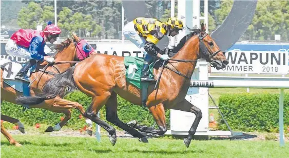  ?? Photo / Race Images ?? Hanger cruises to a fresh-up victory at Awapuni.