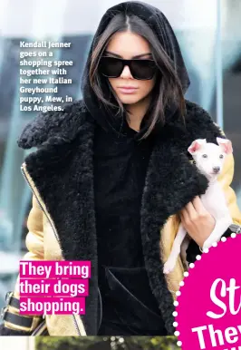  ?? ?? Kendall Jenner goes on a shopping spree together with her new Italian Greyhound puppy, Mew, in Los Angeles. They bring their dogs shopping.