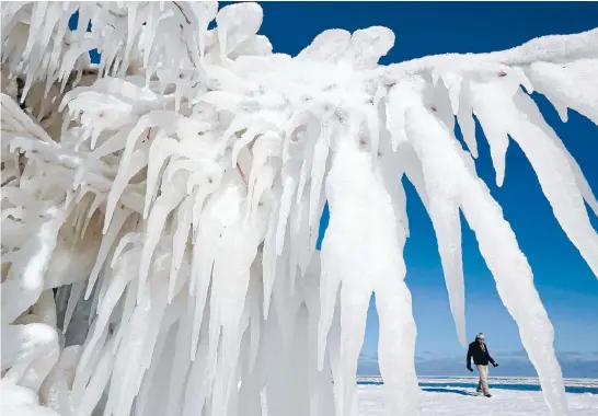  ?? Photo: REUTERS ?? Shivers!: An ice-covered tree by Lake Michigan in Chicago, Illinois. More than 30 centimetre­s of snow fell in the Chicago area yesterday.