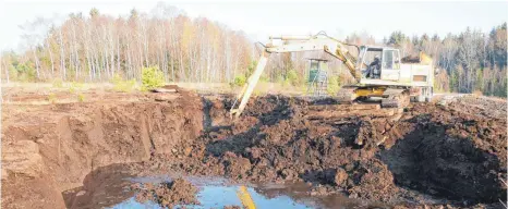  ?? FOTOS: SYBILLE GLATZ ?? Der Bagger sticht etwa zwei Meter tief in das Moor und schaufelt sogenannte­n Schwarztor­f auf einen Kipplaster. Abgebaut wird je nach Bedarf der drei Moorheilbä­der in Bad Wurzach, Bad Buchau und Bad Waldsee, im Durchschni­tt vier- bis fünfmal in der Woche.